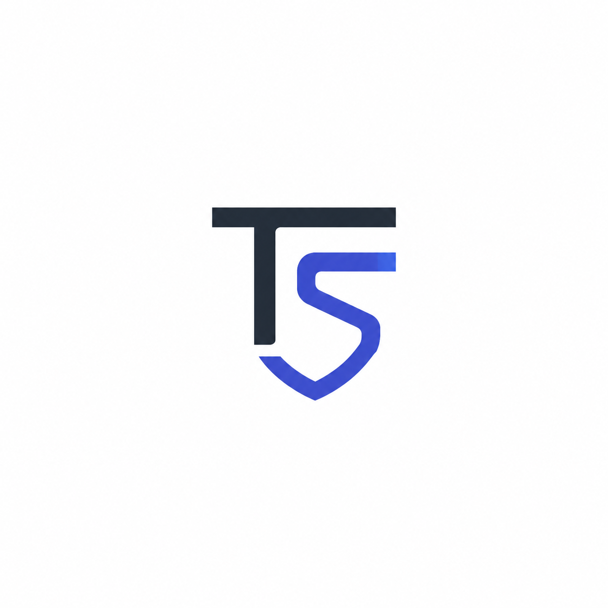 Teyzsec logo